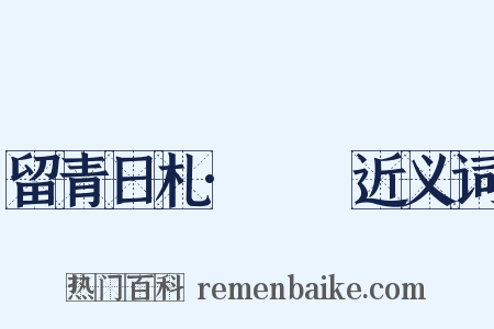留青日札·叆叇近义词是什么意思的图片